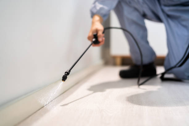 Licensed Cockroach Control service in Bridgewater, VA - Nex Pest Control