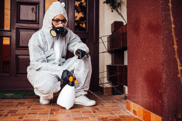 Reliable Cockroach Control contractor in Bridgewater, VA by Nex Pest Control